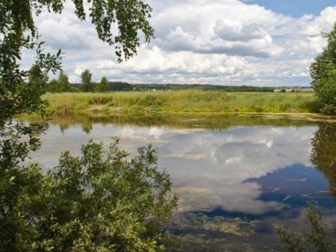 Новорижский