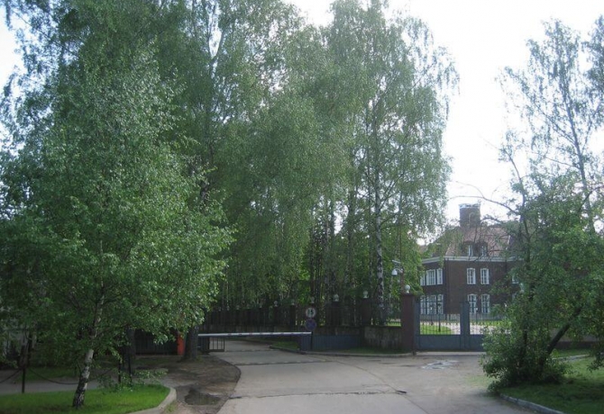 Лес ДСК (Шульгино)